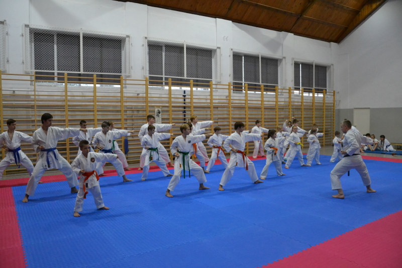 karate szkolenie00656B73380 E576 ABD0 6185 B2560B587AD1