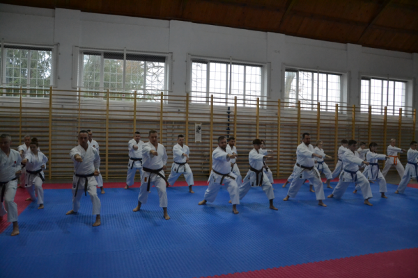 karate-szkolenie004D968CF8C-E8BC-2EC2-8857-42EECD4EB143.png