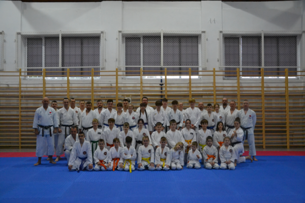 karate-szkolenie00544C7015B-EA9A-FF4B-BE19-73A74A91BFAF.png