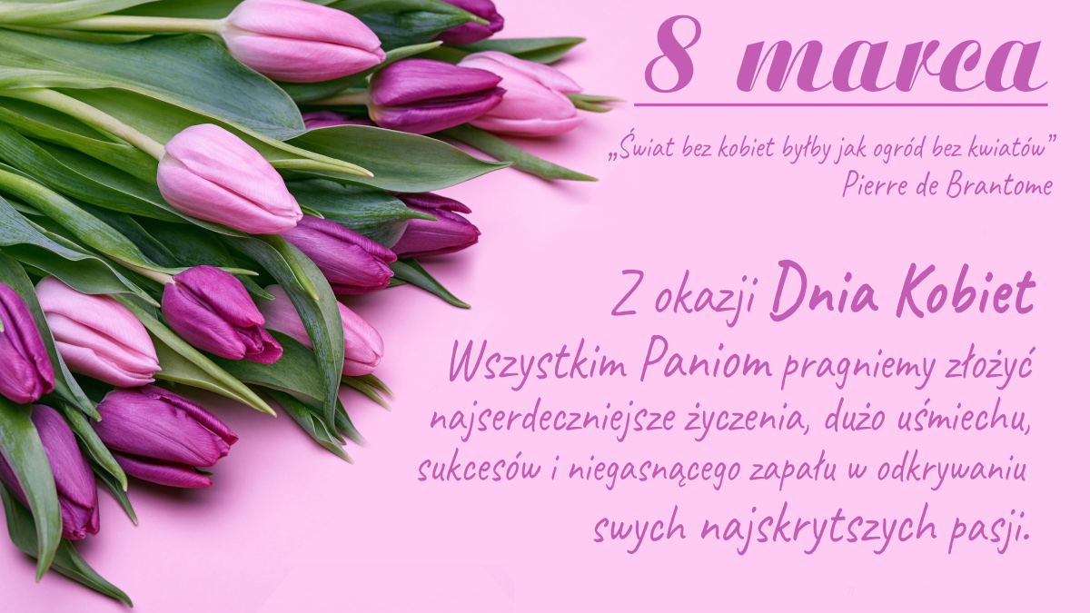 dzien kobiet 142 8 marca tulipany zyczenia