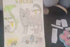 1000012975_14_11zon