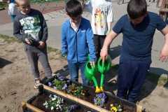 IMG-20250516-WA0003