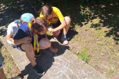 1000014180_7_11zon