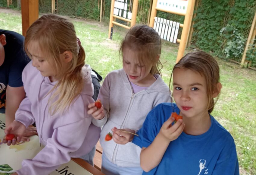 0910b078 cee2 497b 81d7 0555713e36e4