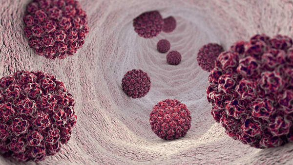 HPV wirus w 3D 600x339
